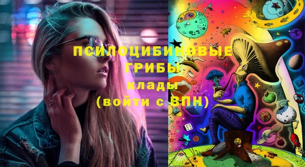 меф Переславль-Залесский