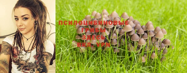 твердый Осинники