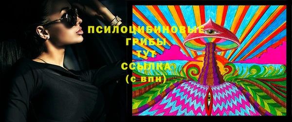 твердый Осинники