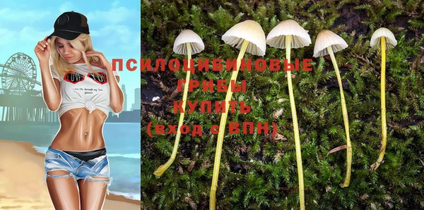 мескалин Осташков