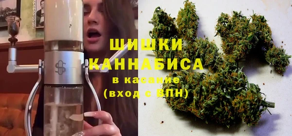 твердый Осинники