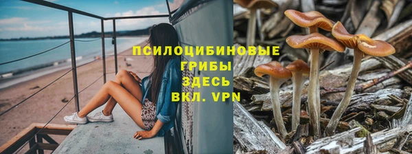 твердый Осинники