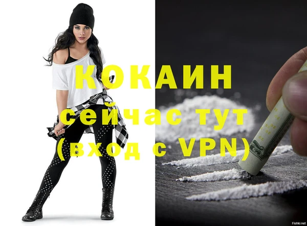 твердый Осинники
