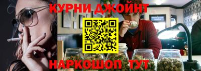 a pvp Камышлов