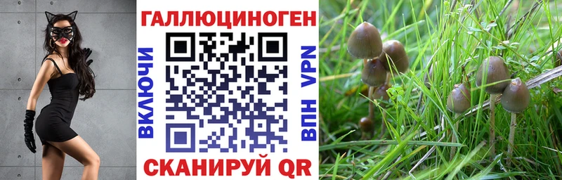 Галлюциногенные грибы Psilocybe  Арзамас 